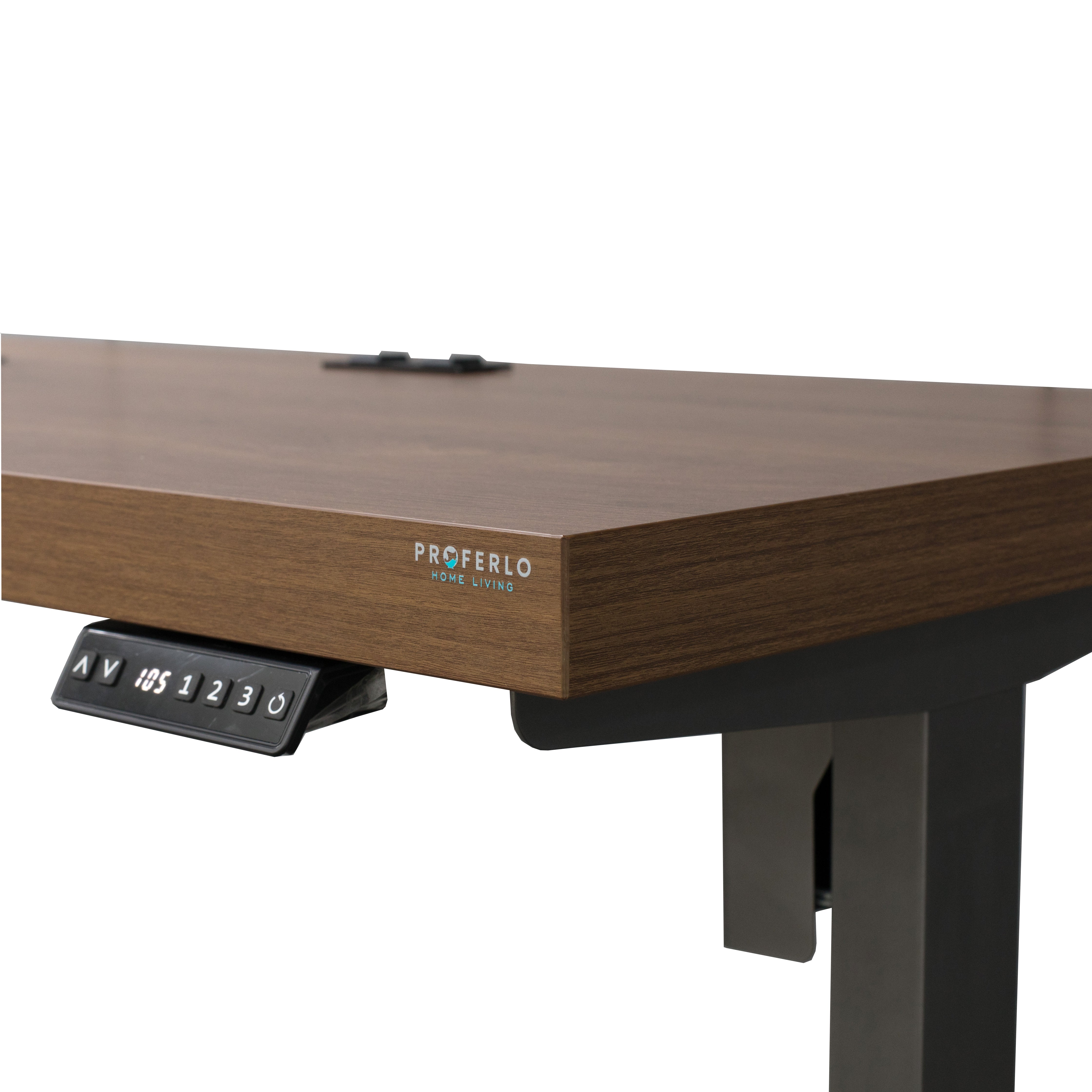 Asti Electric Standing Desk + Charging Ports - 1.6M