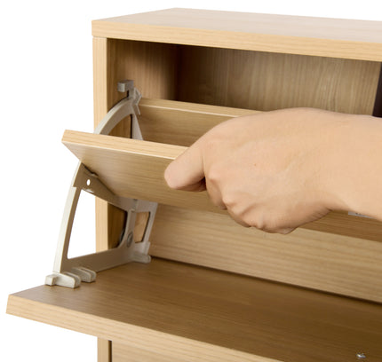 Sisco Shoe Cabinet w/door