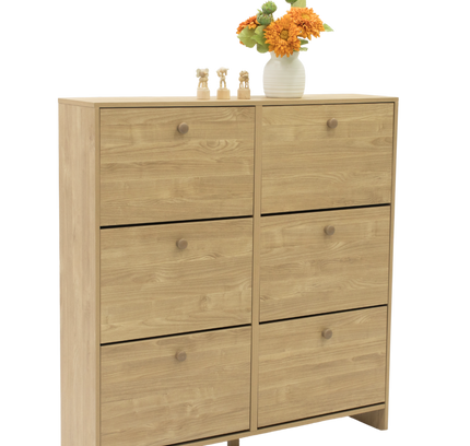 Sisco 6 drawer Shoe Cabinet