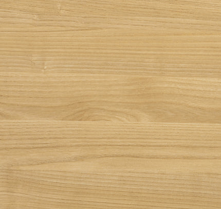 Sisco Shoe Cabinet w/door