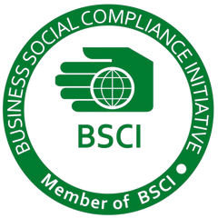 Business Social Compliance Initiative