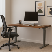 Asti 1.6m electric standing desk with walnut top and grey frame