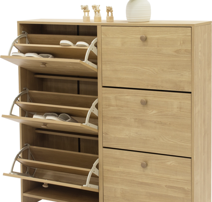 Sisco 6 drawer Shoe Cabinet