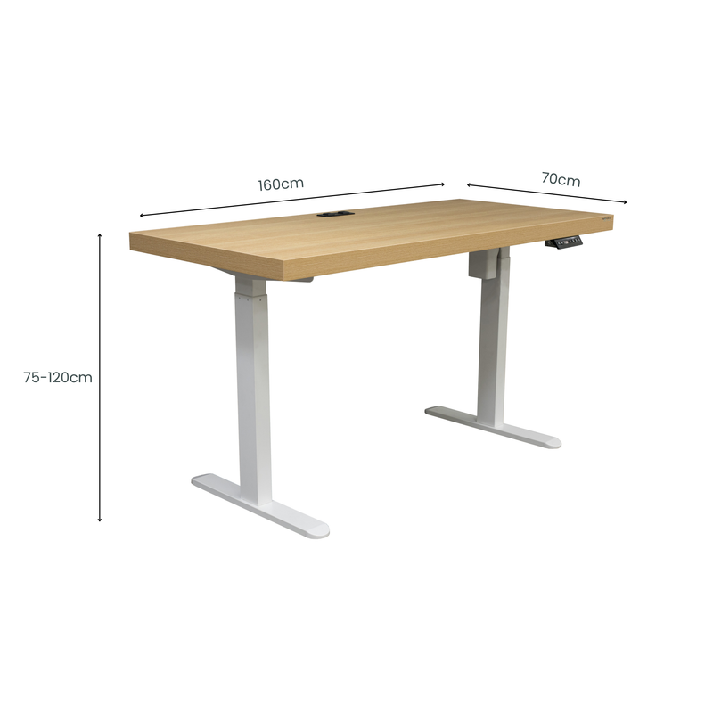 Asti Electric Standing Desk + Charging Ports - 1.6M